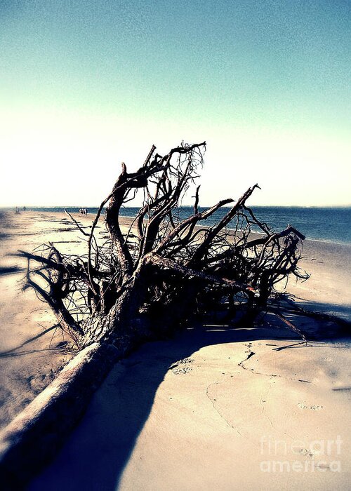 Hilton Head Island Greeting Card featuring the digital art Driftwood At Low Tide by Phil Perkins