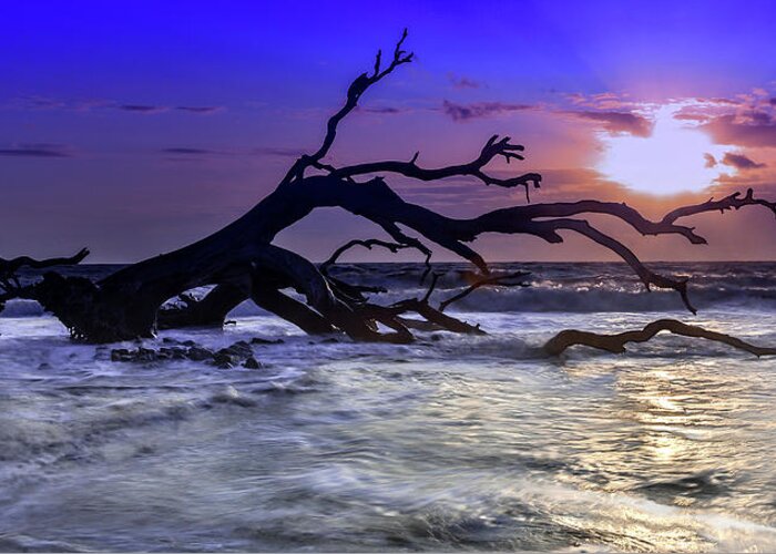 Landscape Greeting Card featuring the photograph Driftwood Beach 9 by Dillon Kalkhurst