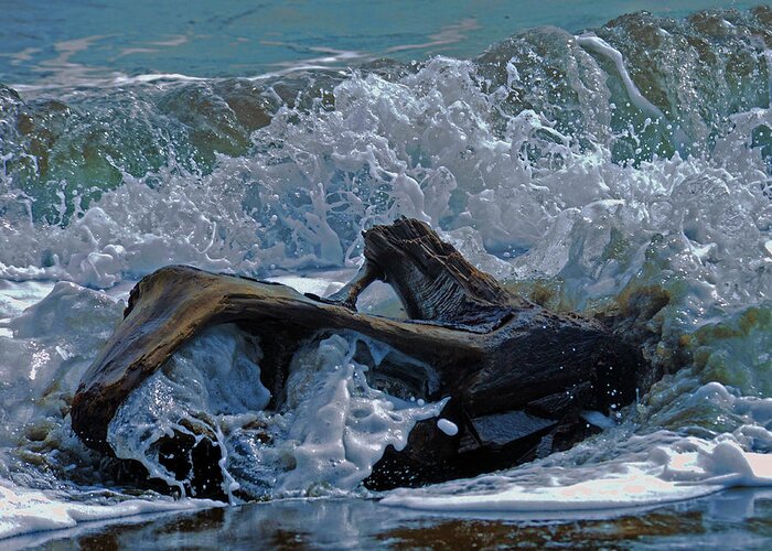 Driftwood Greeting Card featuring the photograph Driftwood by Keith Lovejoy