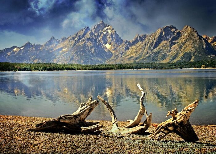 Grand Teton National Park Greeting Card featuring the photograph Driftwood on Jackson Lake by Marty Koch
