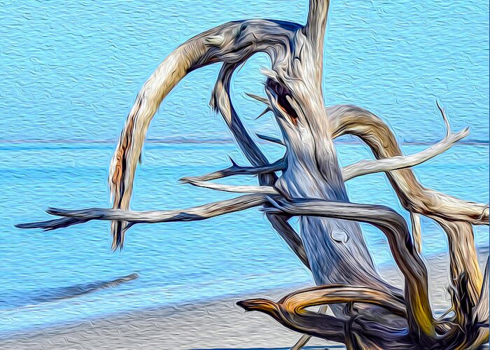 Art Greeting Card featuring the painting Driftwood on Jekyll by DB Hayes