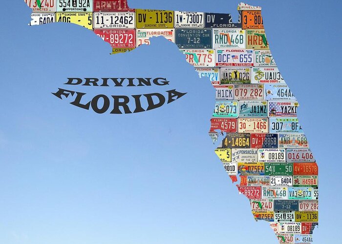 Florida Greeting Card featuring the photograph Driving Florida by Jewels Hamrick