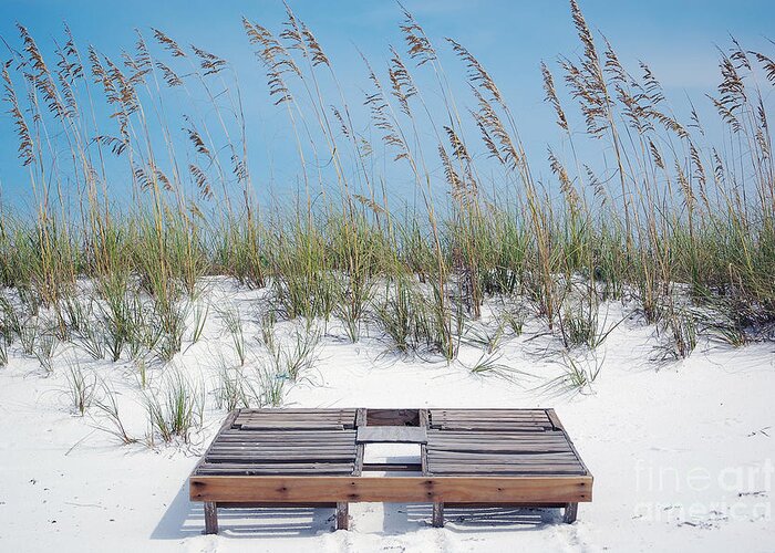 Destin Greeting Card featuring the photograph Dual Wooden Tanning Beds on White Sand Dune Destin Florida by Shawn O'Brien