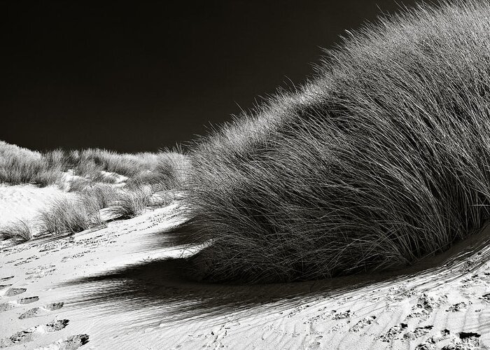 Dune Greeting Card featuring the photograph Dune Grass by Dave Bowman