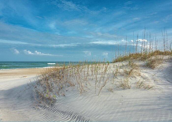 Cape Lookout Greeting Card featuring the photograph Dune#254 by WAZgriffin Digital