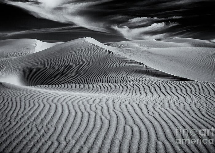 Landscape Greeting Card featuring the photograph Dunescape by Mimi Ditchie