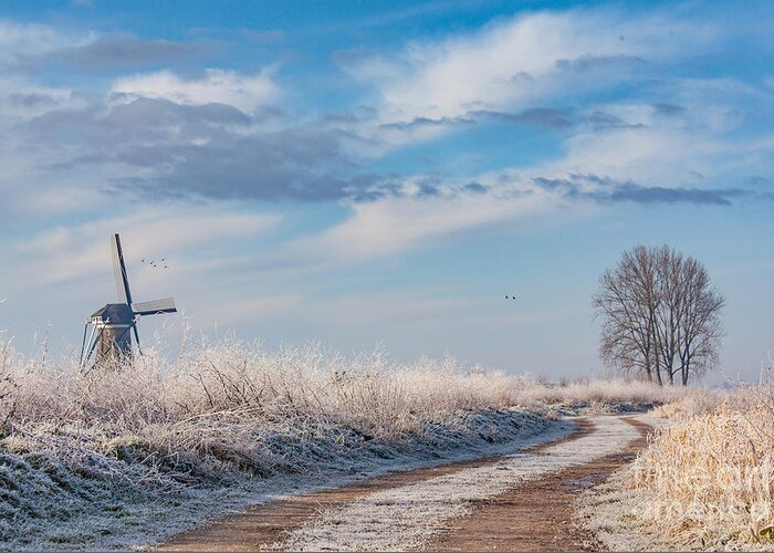 Holland Greeting Card featuring the photograph Dutch windmill in winter by Casper Cammeraat
