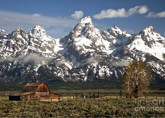 Moulton Barn Greeting Card featuring the photograph Dwarfed By The Teton Mountain ange by Adam Jewell