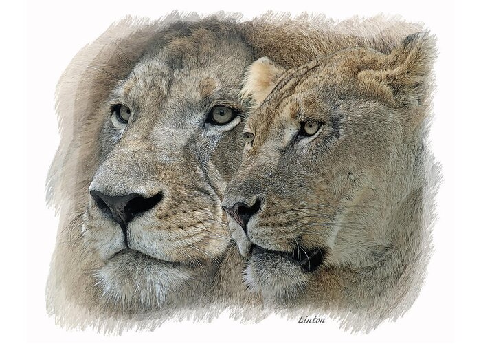 Lion Greeting Card featuring the digital art Dynamic Duo by Larry Linton