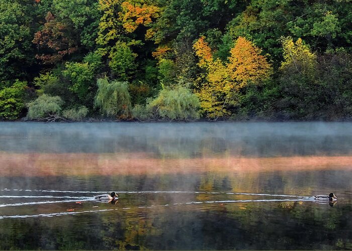 Landscape Greeting Card featuring the photograph Early Autumn Morning at Longfellow Pond by Robert Mitchell