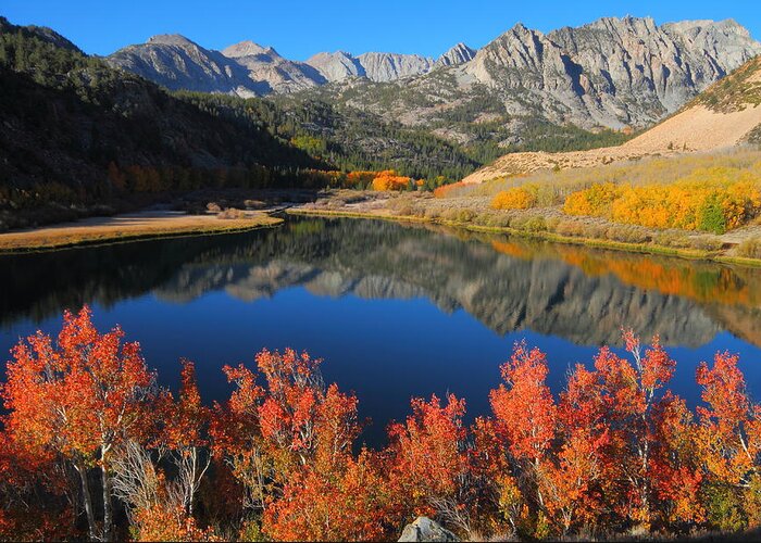 Fall Greeting Card featuring the photograph Early morning at North Lake in Bishop Creek Canyon by Jetson Nguyen