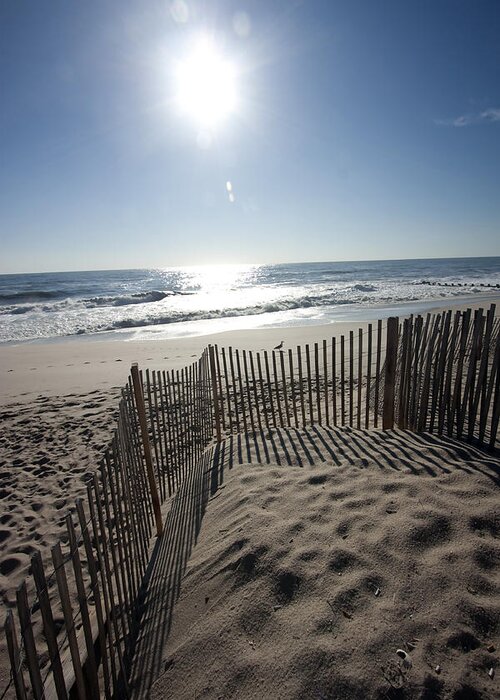 Beach Greeting Card featuring the photograph Early Morning Shadows by Mary Haber