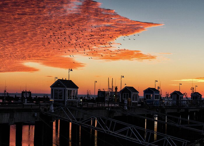 Provincetown Greeting Card featuring the photograph Early Orange by Ellen Koplow