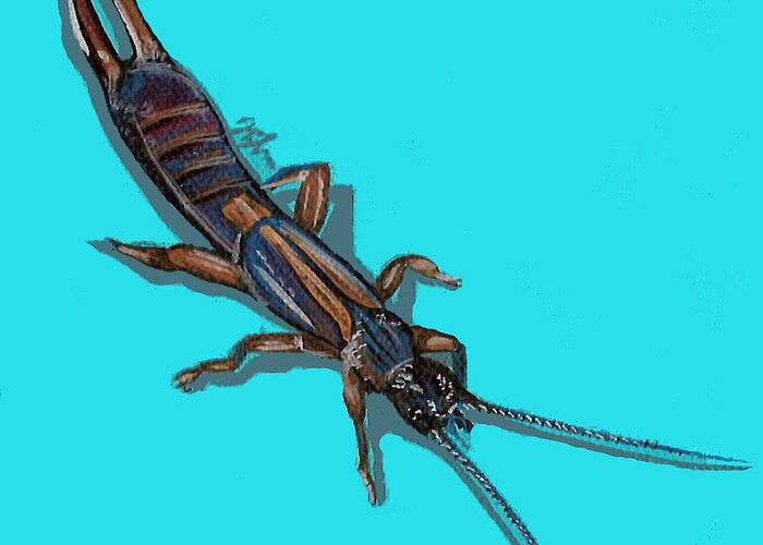 Bugs Greeting Card featuring the painting Earwig by Jude Labuszewski