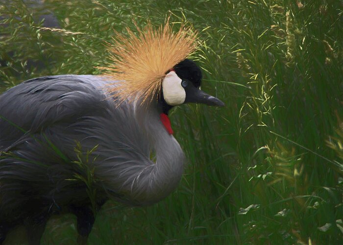 African Crowned Cranes Greeting Card featuring the digital art East African Crowned Crane DP by Ernest Echols