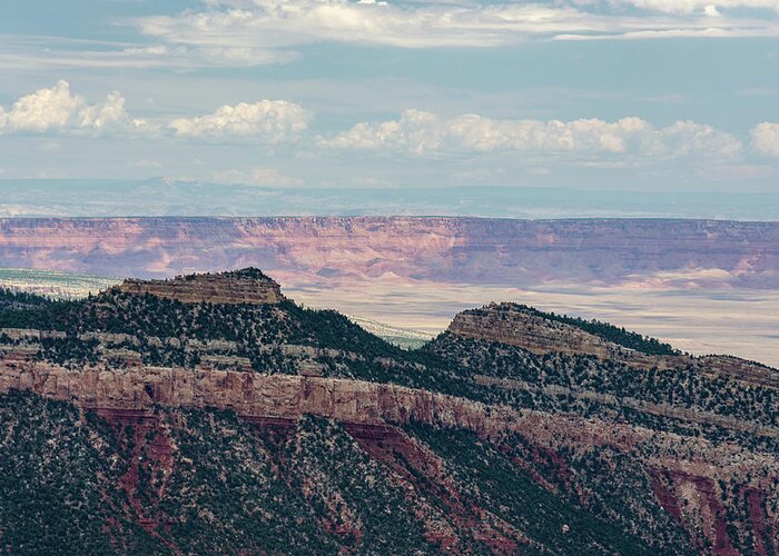 Arizona Greeting Card featuring the photograph East Kaibab Monocline by Gaelyn Olmsted