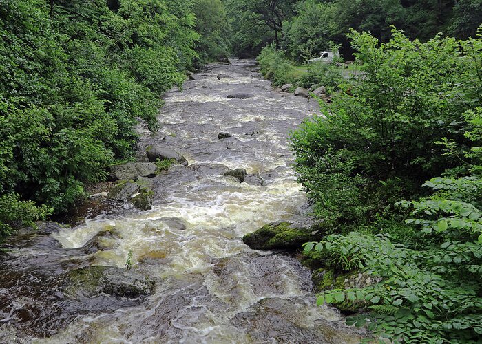 East Lyn River Greeting Card featuring the photograph East Lyn River by Tony Murtagh