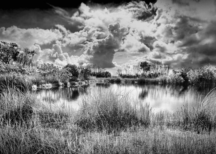 Everglades Greeting Card featuring the photograph Everglades Lake 5678BW by Rudy Umans