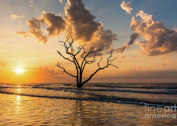 Clarence Holmes Greeting Card featuring the photograph Edisto Island Sunrise I by Clarence Holmes