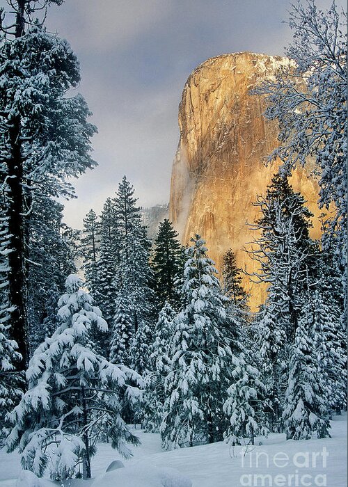 North America Greeting Card featuring the photograph El Capitan on a Winter Morning Yosemite National Park California by Dave Welling