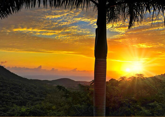 Rainforest Greeting Card featuring the photograph El Yunque Mountain Sunrise by Stephen Anderson