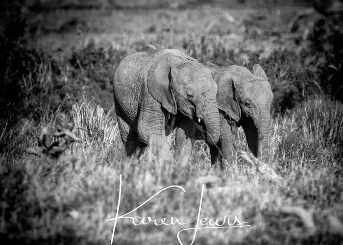 Masai Mara Greeting Card featuring the photograph Elefriends by Karen Lewis