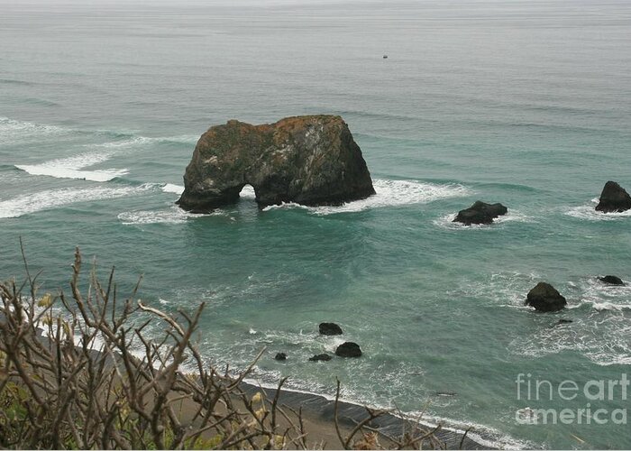 Ocean Greeting Card featuring the photograph Elephant rock by Sheila Ping