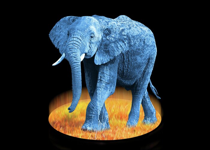 Elephant Greeting Card featuring the photograph Elephant - World On Fire by Gill Billington