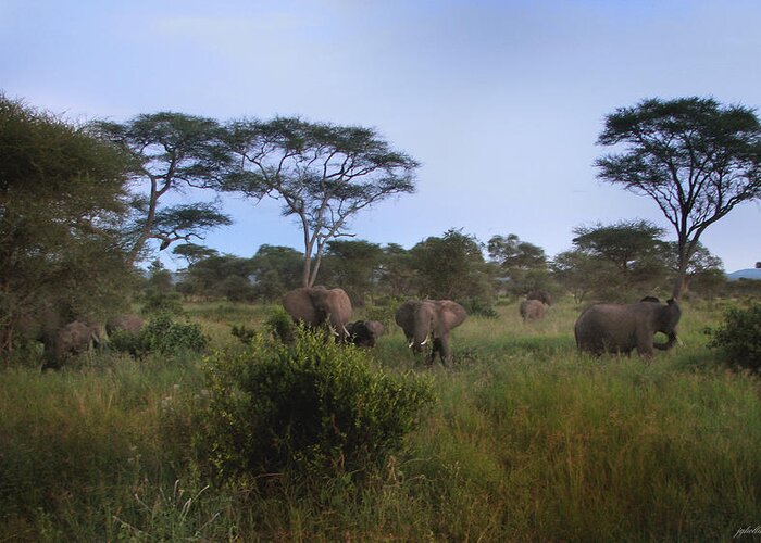 Tanzania Greeting Card featuring the photograph Elephants of the Serengeti by Joseph G Holland