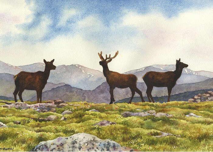 Elk Painting Greeting Card featuring the painting Elk in the Evening by Anne Gifford