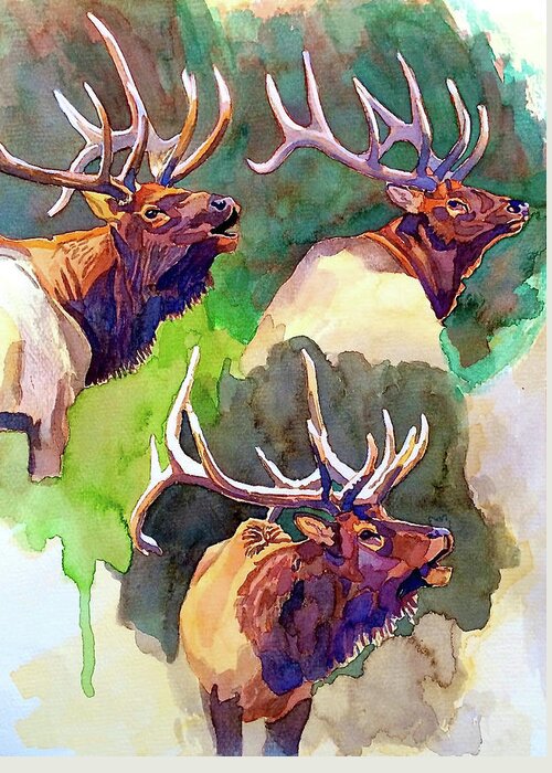 Art Greeting Card featuring the painting Elk Studies by Dan Miller