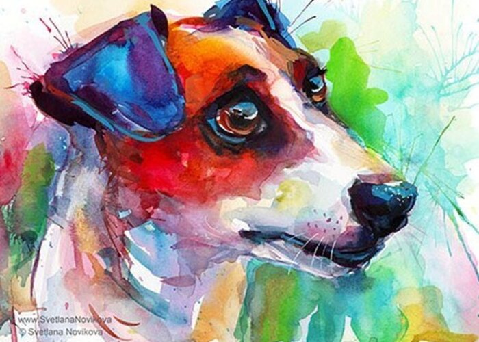 Customart Greeting Card featuring the photograph Emotional Jack Russell Terrier by Svetlana Novikova