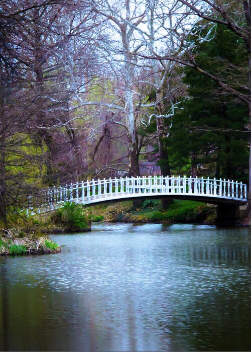 Nature Greeting Card featuring the photograph Enchanted Bridge by Steve Marler