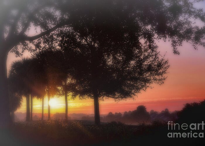 Sunrise Greeting Card featuring the photograph Enchanting Morning Sunrise by Mary Lou Chmura