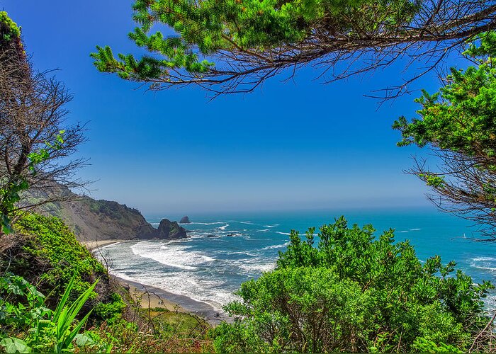 California Greeting Card featuring the photograph Endert's Beach Redwoods National Park by Scott McGuire