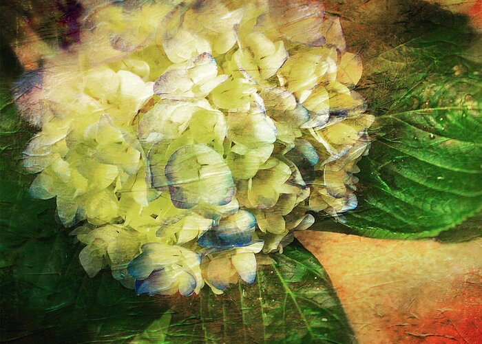 Hydrangeas Greeting Card featuring the mixed media Endless Summer by Colleen Taylor