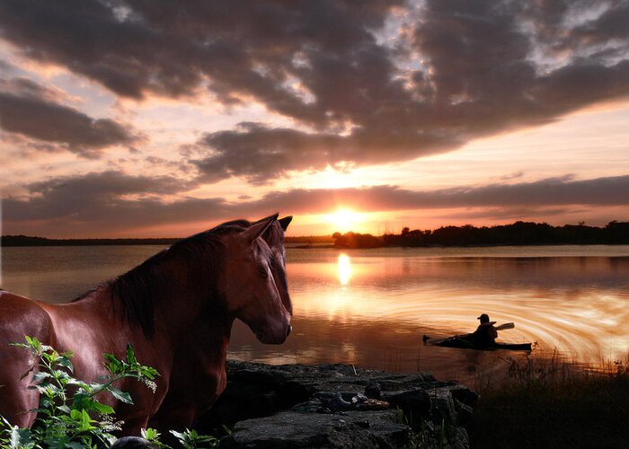 Horse Greeting Card featuring the photograph Enjoying the Sunset by Michele A Loftus