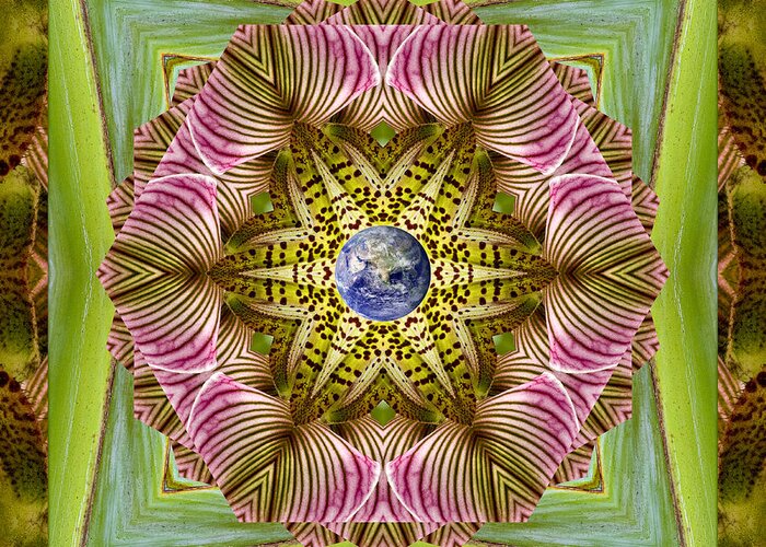 Mandalas Greeting Card featuring the photograph EpiCenter by Bell And Todd