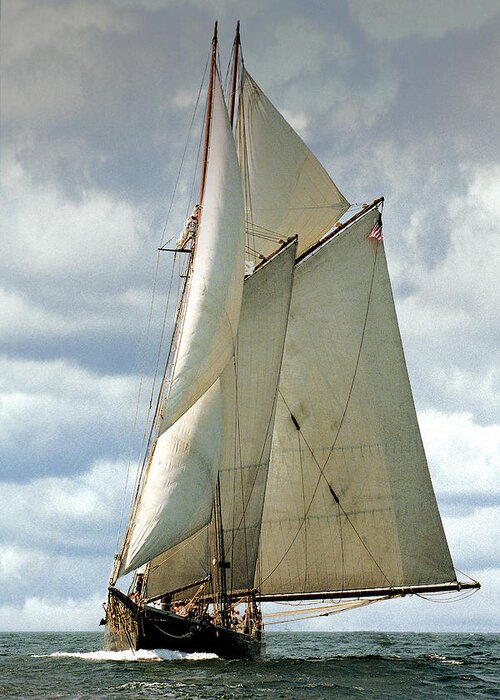 Windjammer Greeting Card featuring the photograph Ernestina by Fred LeBlanc