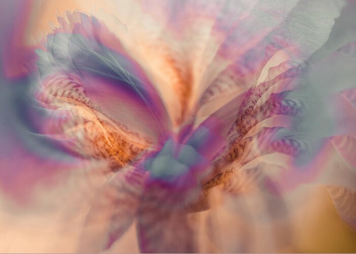 Iris Greeting Card featuring the photograph Ethereal Life 5. Interior Ideas by Jenny Rainbow