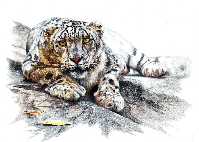 Snow Leopard Greeting Card featuring the drawing Ethereal Spirit by Peter Williams