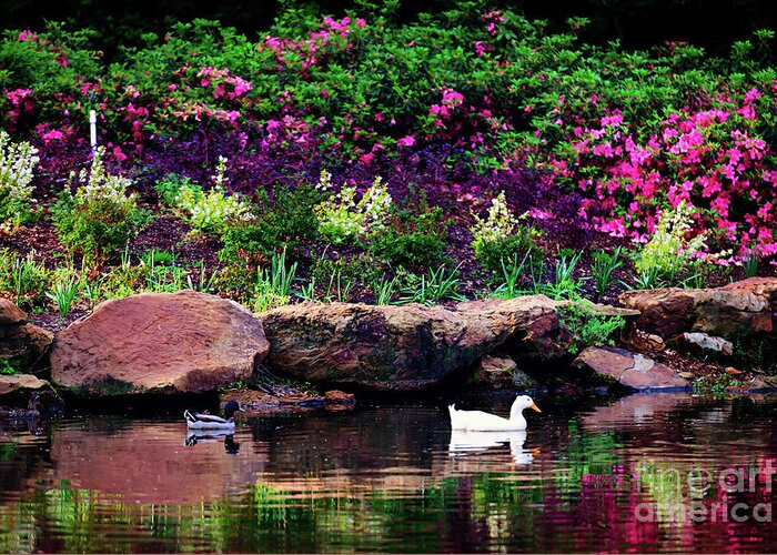 Tamyra Greeting Card featuring the photograph Ethreal Beauty at the Azalea Pond by Tamyra Ayles