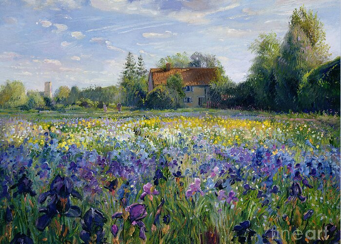 Landscape;market Gardening; Flowers; Horticulture;cottage; Summer; Rural; Irises; Landscapes Greeting Card featuring the painting Evening at the Iris Field by Timothy Easton