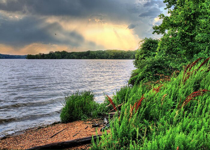 Pohick Gunston Cove Chesapeake Bay Watershed Potomac River Thunder Storm Stoorms Thunderstorms Rain Raining Sunset Sunrise Fort Belvoir Va Virginia Beach Wetland Wetlands Drama Dramatic Pohick Gunston Cove Greeting Card featuring the photograph Evening Flight by JC Findley