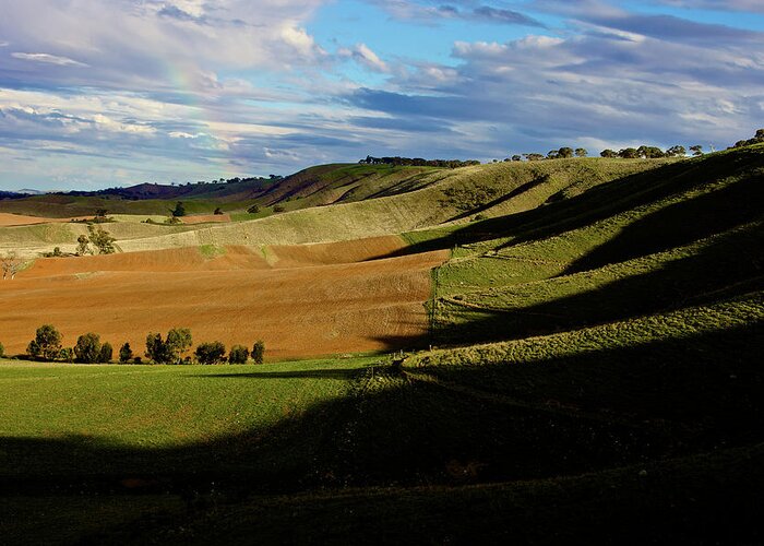 Burra Greeting Card featuring the photograph Evening Shadows by Mark Egerton