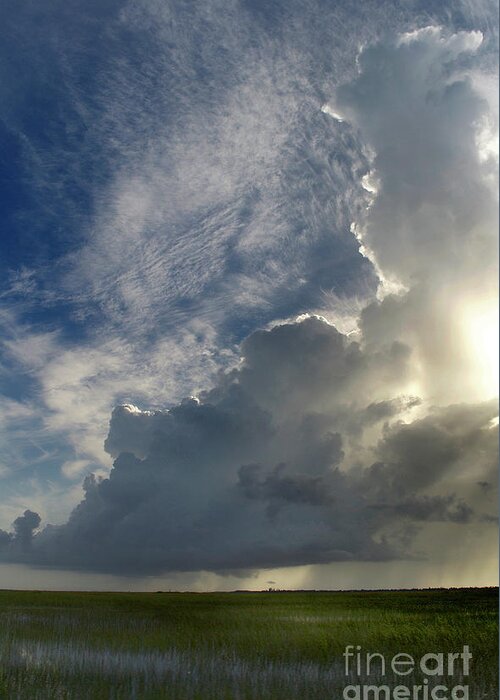Nature Greeting Card featuring the photograph Everglades Storm by Skip Willits