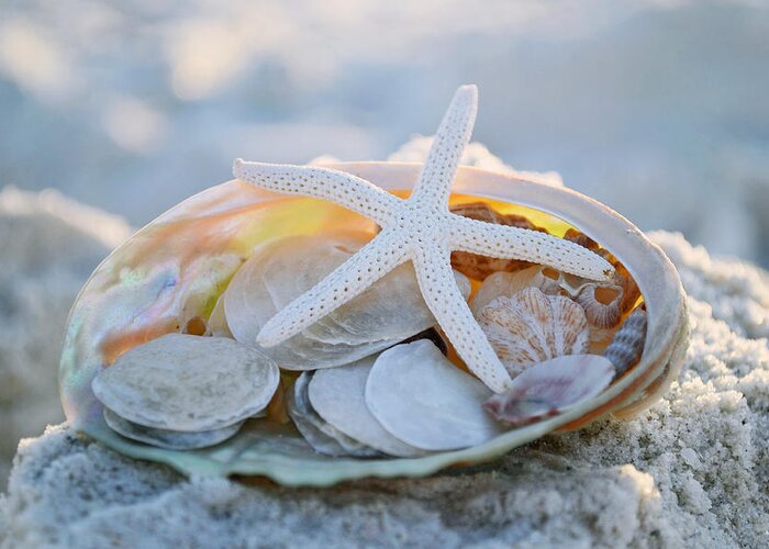 Seashells Greeting Card featuring the photograph Every Grain of Sand by Melanie Moraga