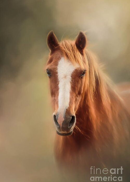 Horse Greeting Card featuring the photograph Everyone's Favourite Pony by Michelle Wrighton