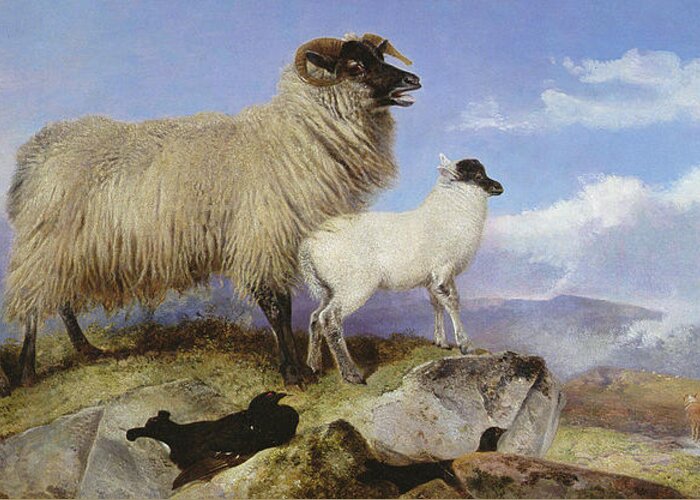 Sheep Greeting Card featuring the painting Ewe and Lambs by Richard Ansdell