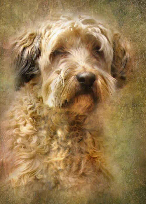 Collie Greeting Card featuring the digital art Expression by Trudi Simmonds